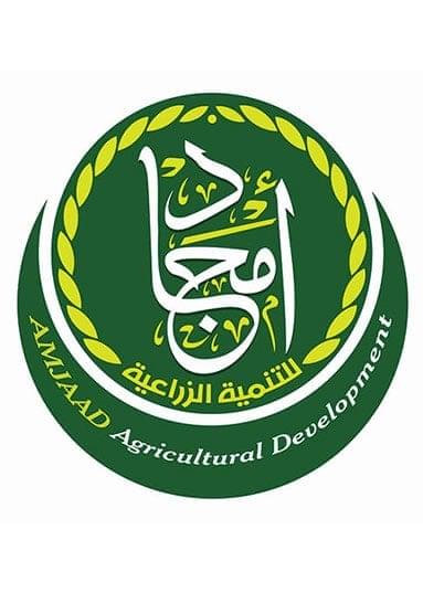 Logo Amjaad Design